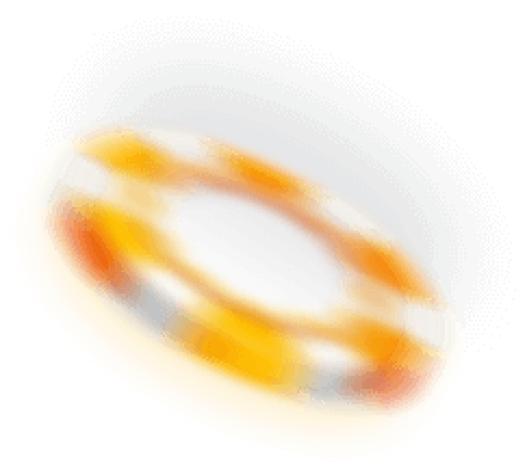 chip