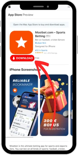 Download starten und bestätigen